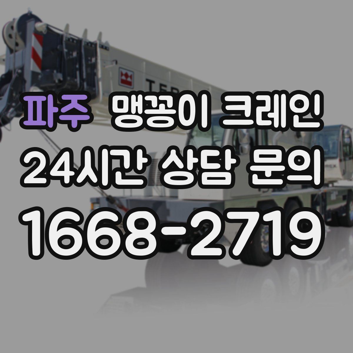 파주 맹꽁이 크레인