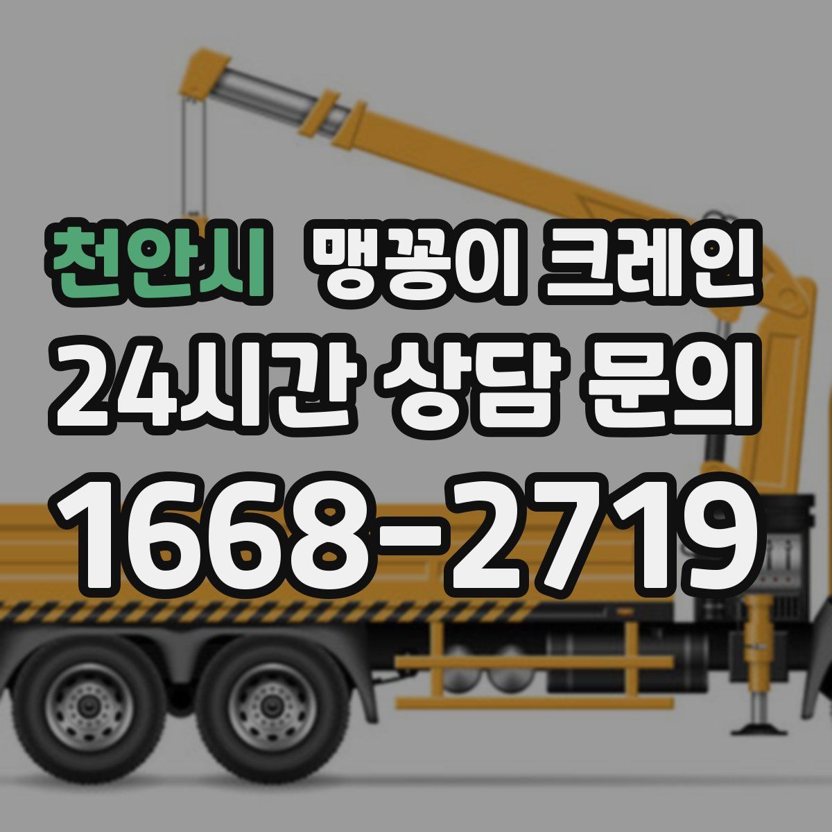천안시 맹꽁이 크레인