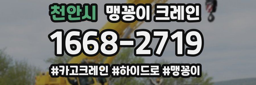 천안시 맹꽁이 크레인