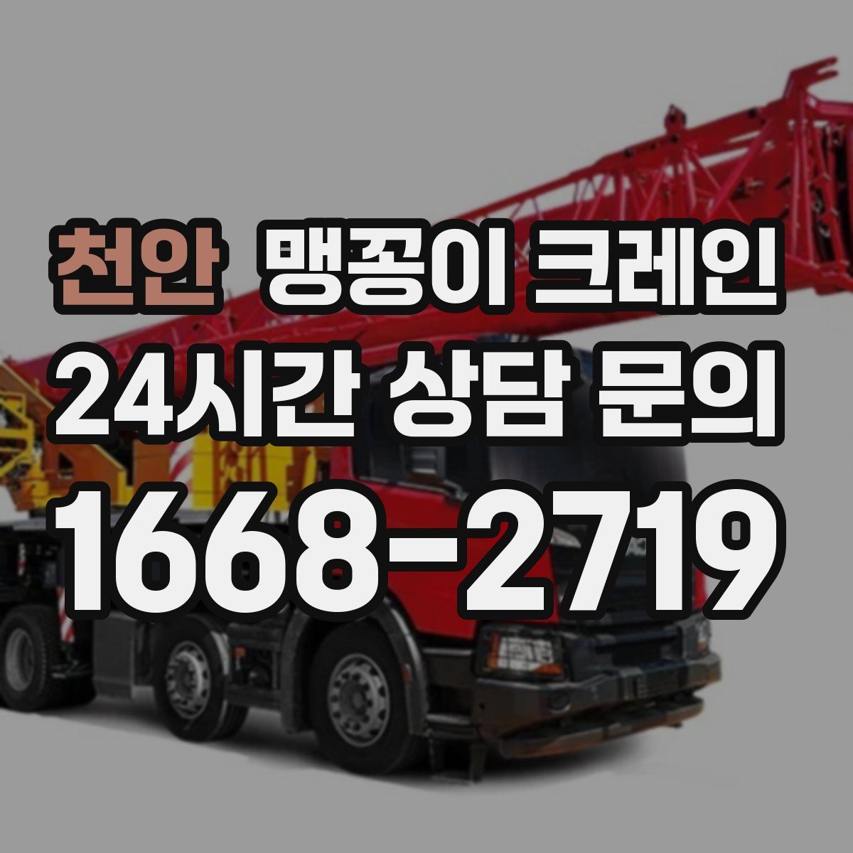 천안 맹꽁이 크레인