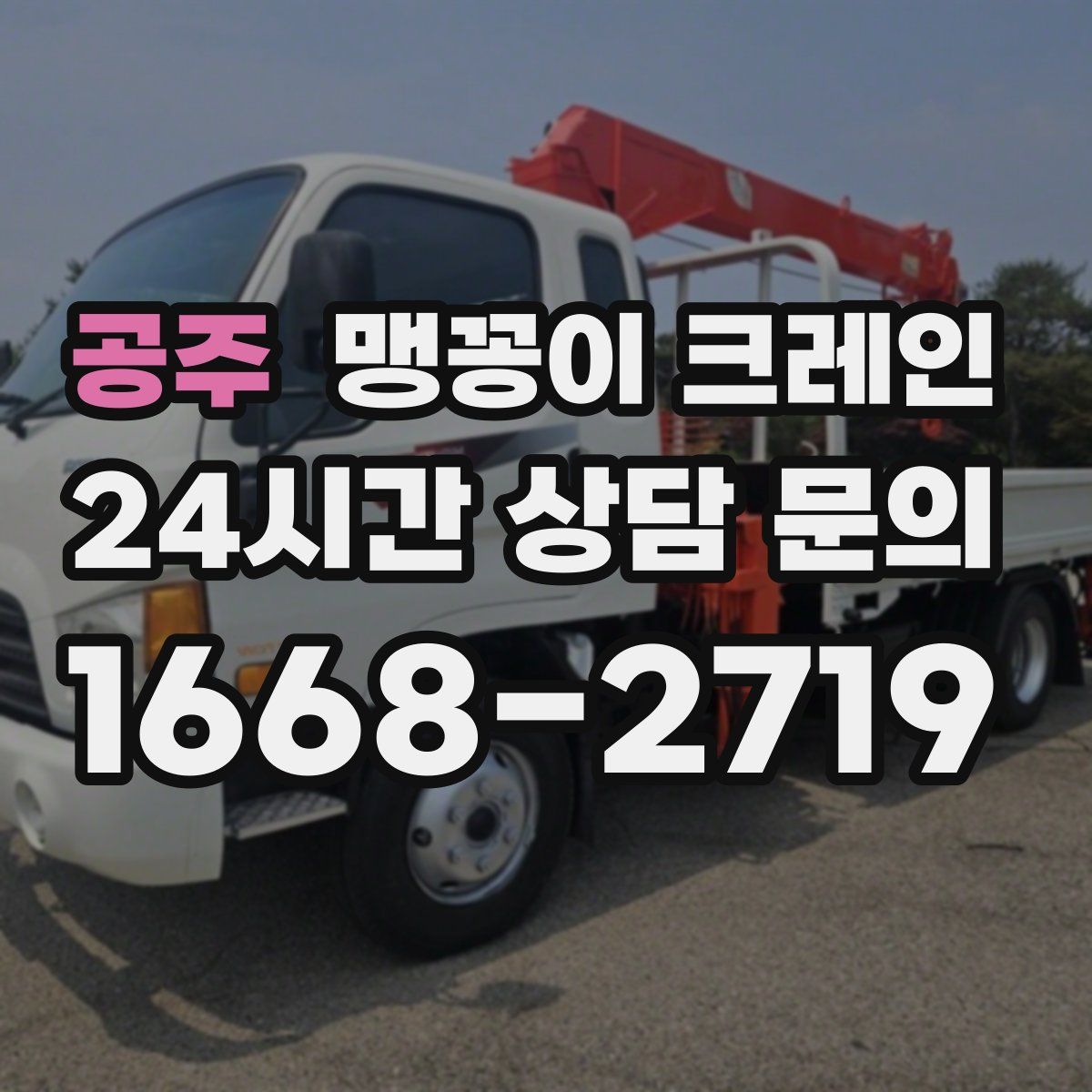 공주 맹꽁이 크레인