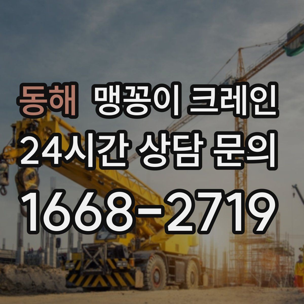 동해 맹꽁이 크레인 의료장비 반입·반출 작업 체크리스트