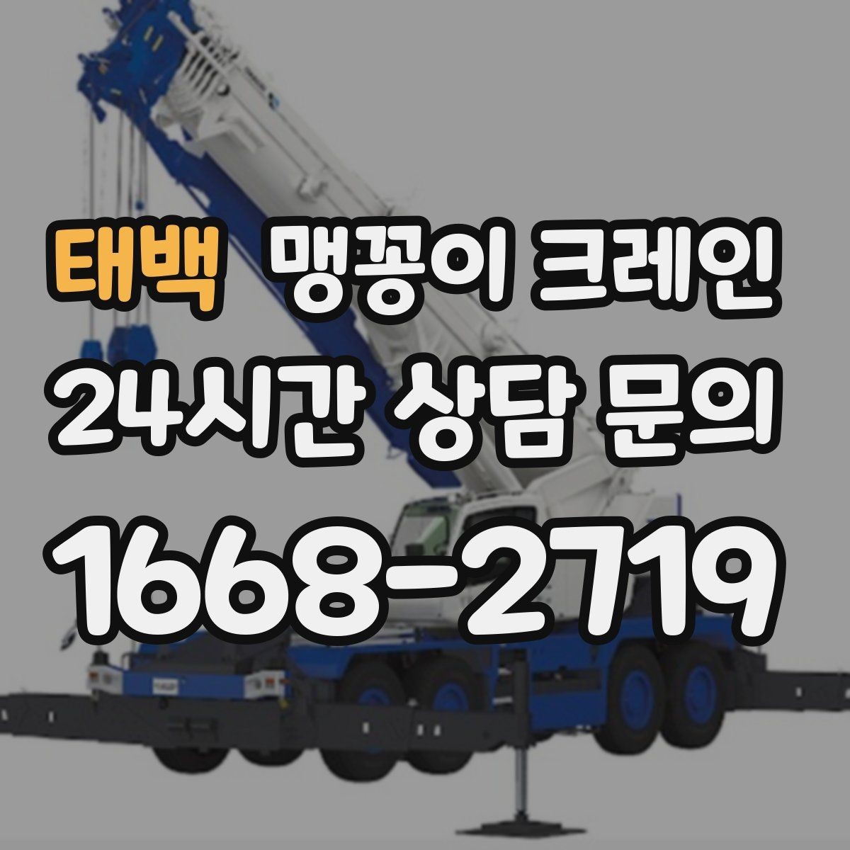 태백 맹꽁이 크레인 카고 크레인과 어떤 점이 다른가요