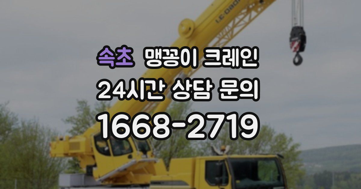 속초 맹꽁이 크레인