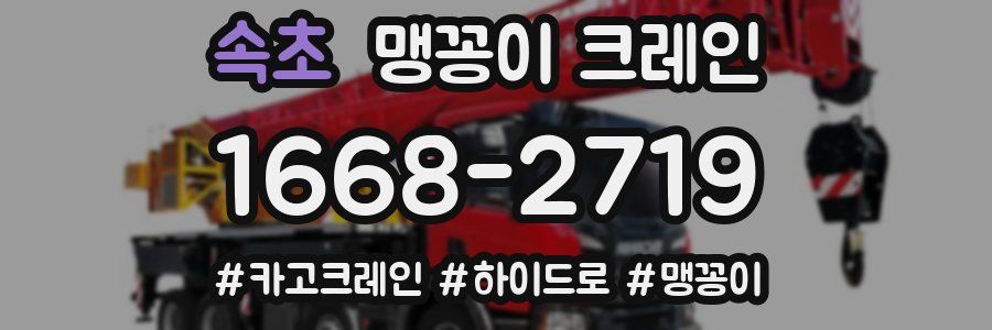 속초 맹꽁이 크레인