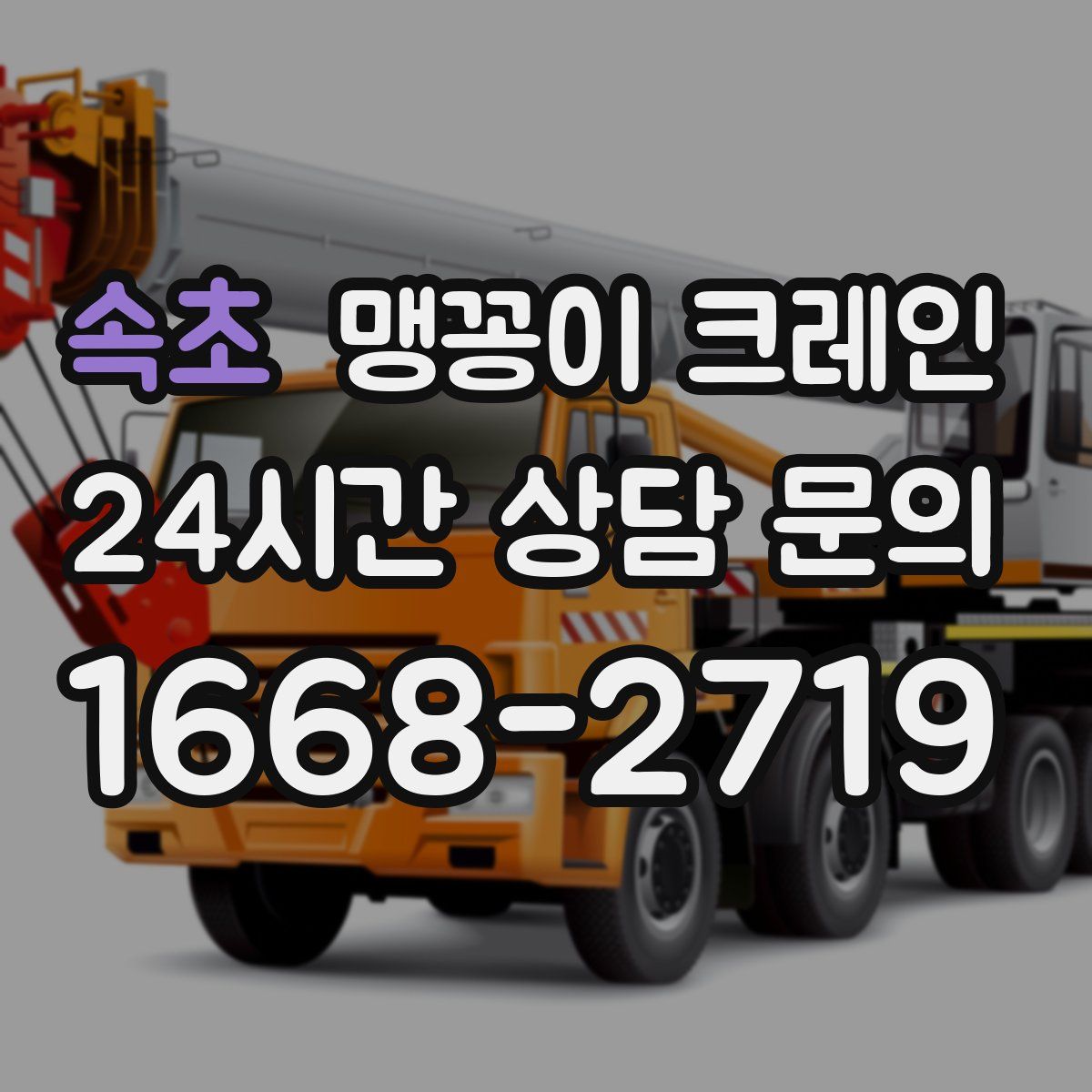 속초 맹꽁이 크레인