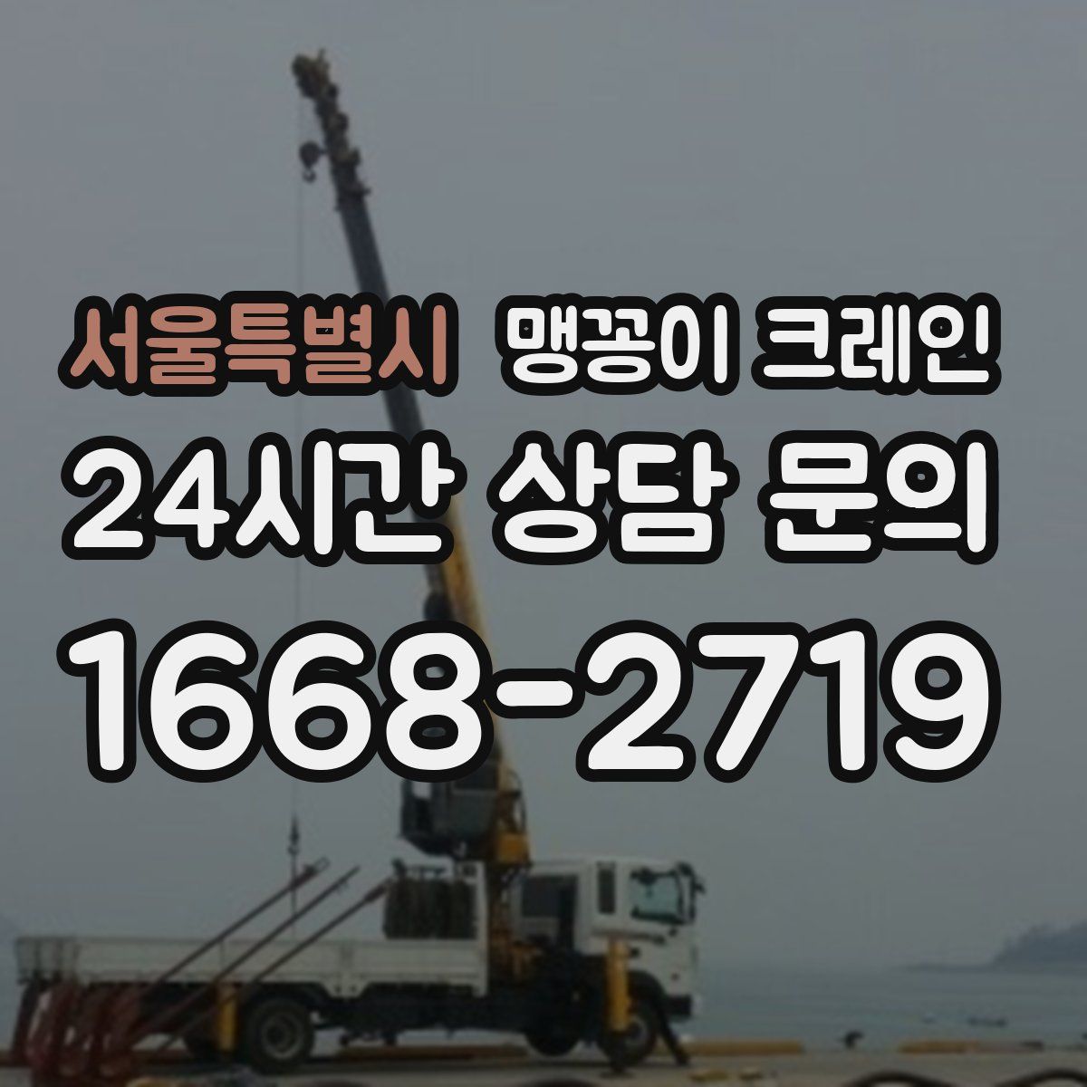 서울특별시 맹꽁이 크레인