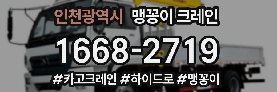 인천광역시 맹꽁이 크레인