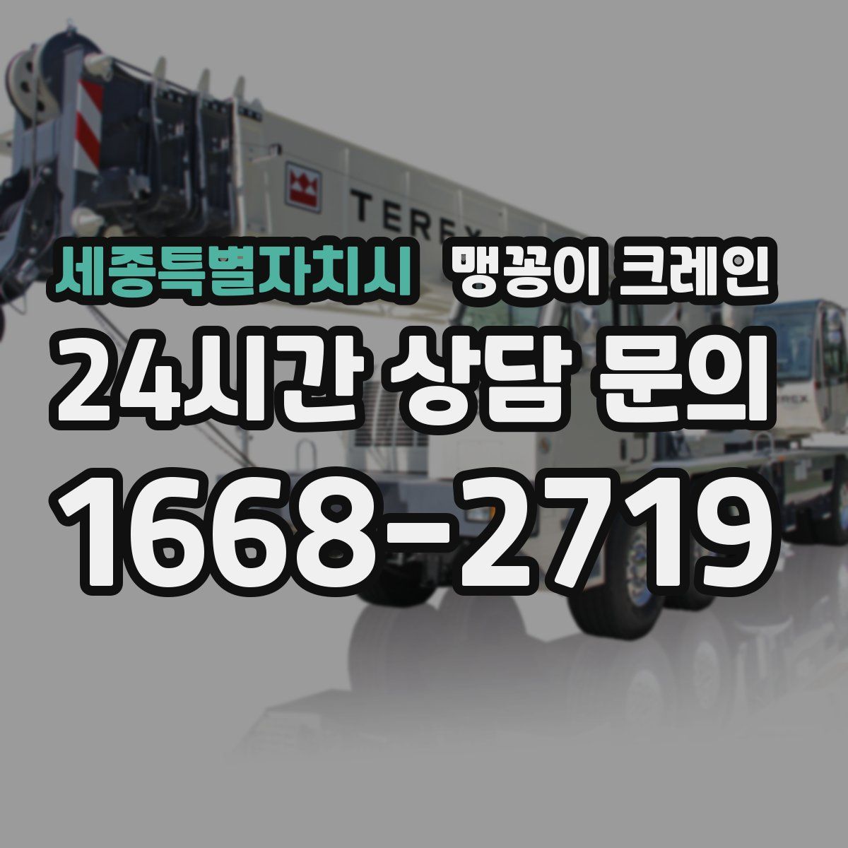 세종특별자치시 맹꽁이 크레인
