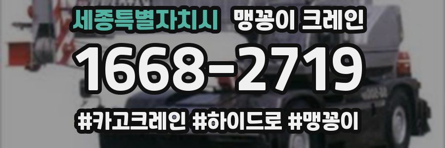 세종특별자치시 맹꽁이 크레인