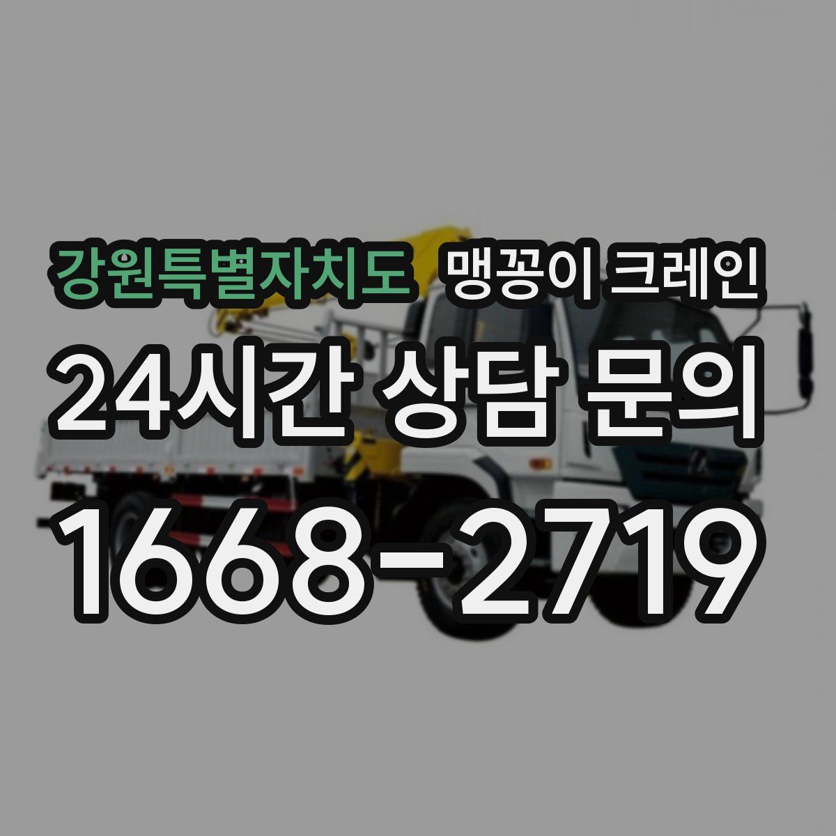 강원특별자치도 맹꽁이 크레인