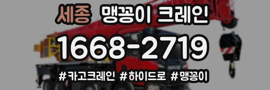 세종 맹꽁이 크레인