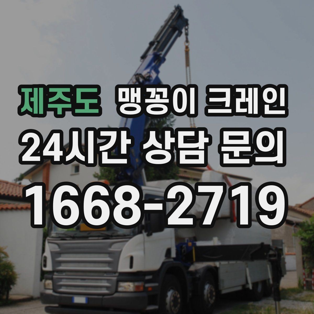 제주도 맹꽁이 크레인 컨테이너 내부 장비 반입에 적합한 이유