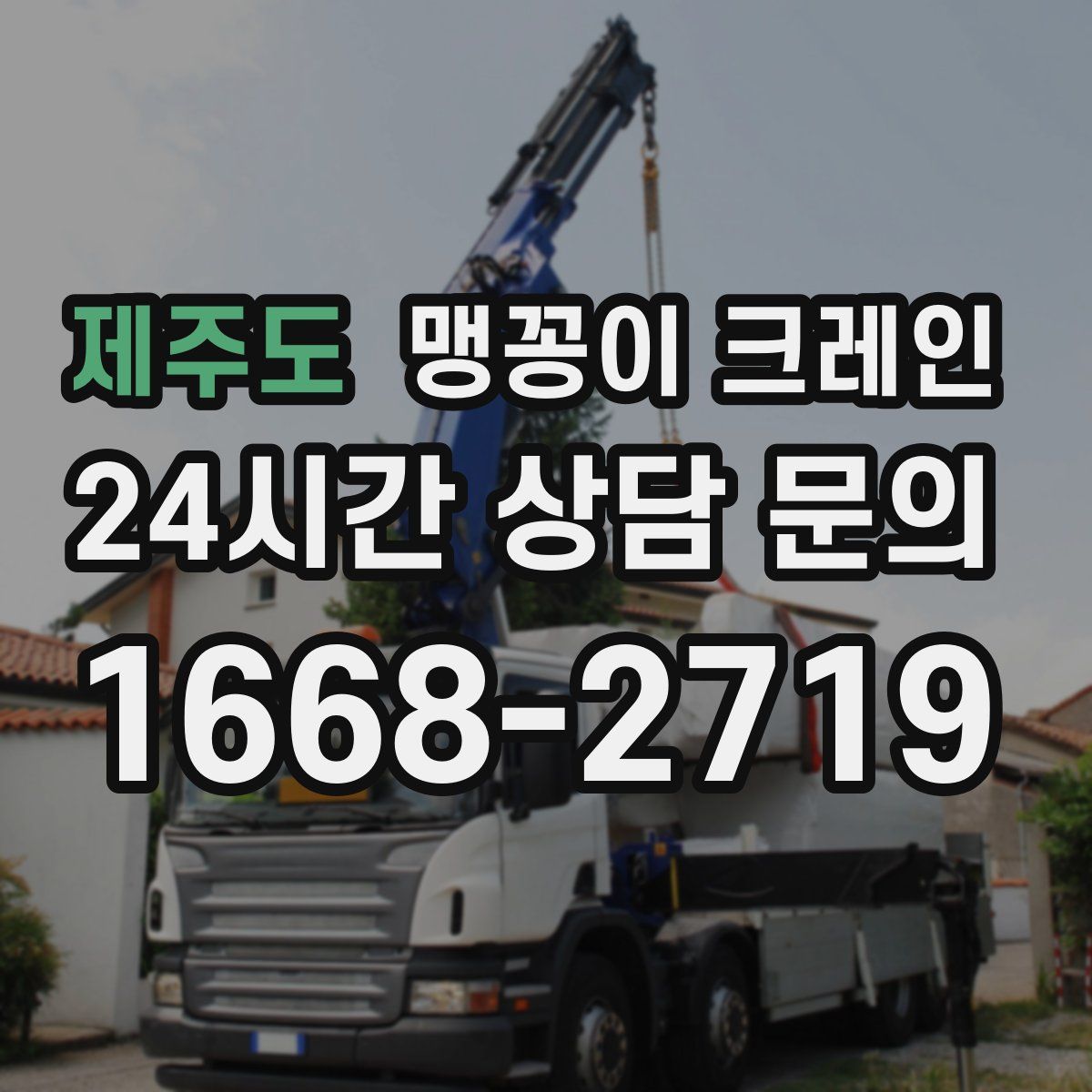 제주도 맹꽁이 크레인
