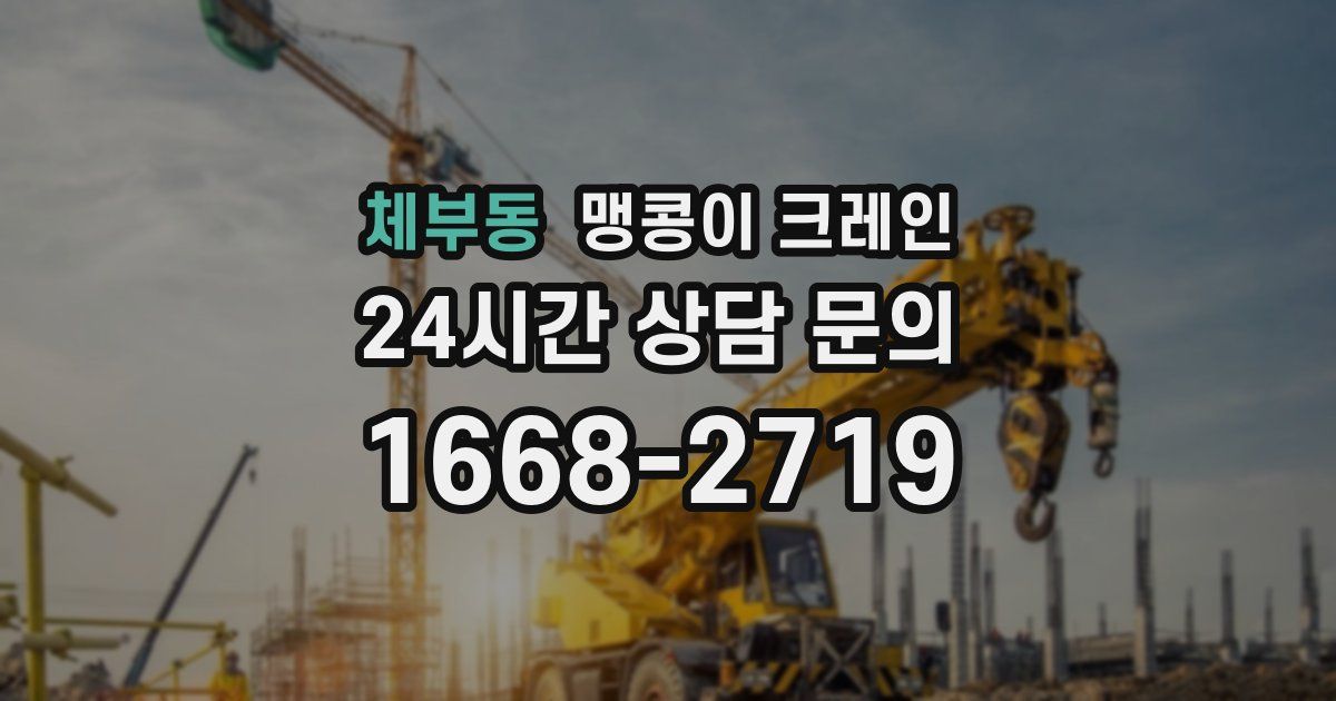 체부동 맹콩이 크레인