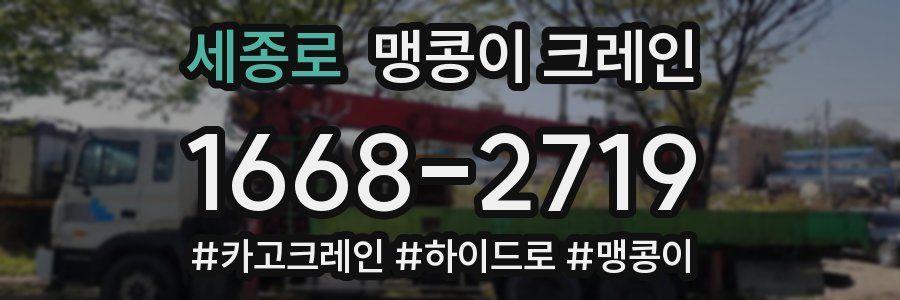 세종로 맹콩이 크레인