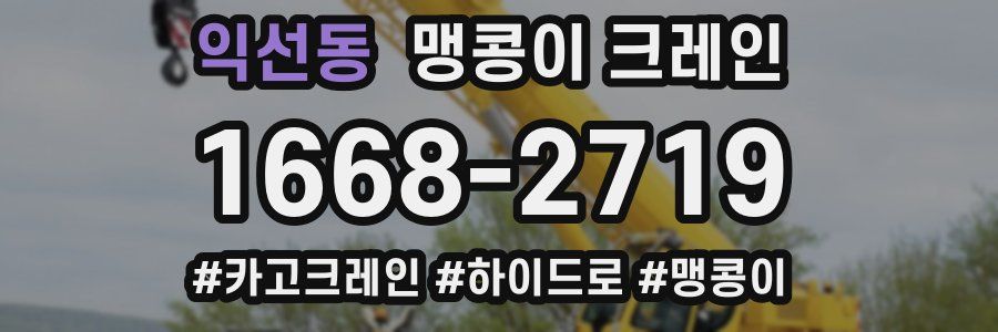 익선동 맹콩이 크레인
