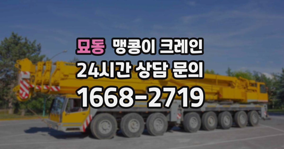 묘동 맹콩이 크레인