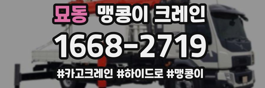묘동 맹콩이 크레인