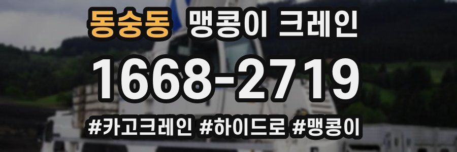동숭동 맹콩이 크레인