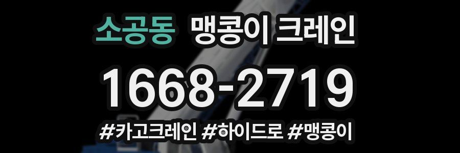 소공동 맹콩이 크레인