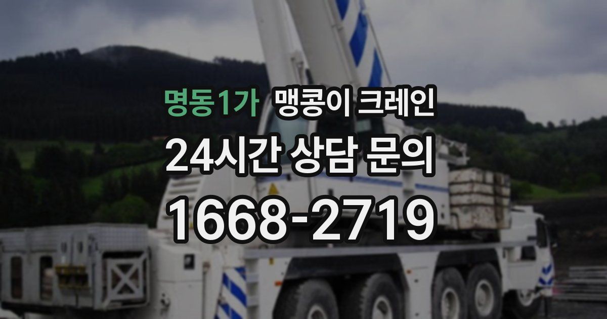 명동1가 맹콩이 크레인