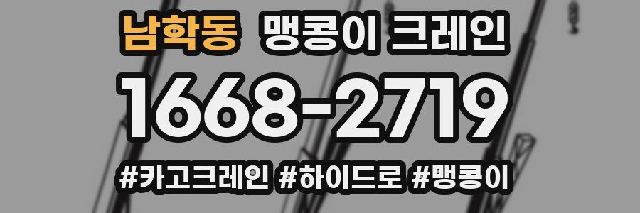 남학동 맹콩이 크레인