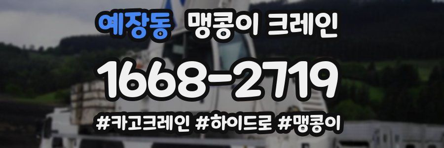 예장동 맹콩이 크레인