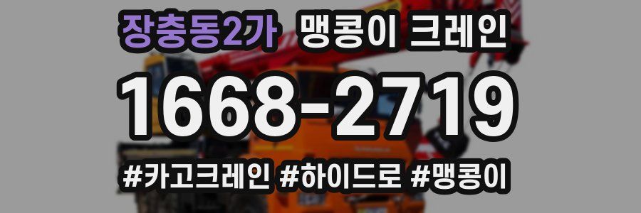 장충동2가 맹콩이 크레인