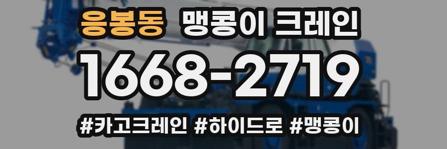 응봉동 맹콩이 크레인