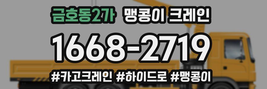 금호동2가 맹콩이 크레인