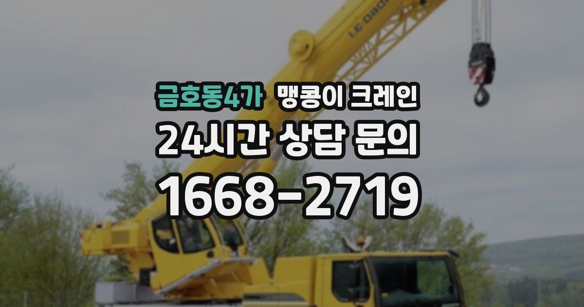 금호동4가 맹콩이 크레인