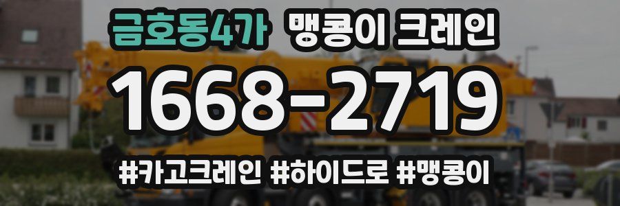 금호동4가 맹콩이 크레인