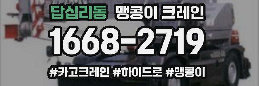 답십리동 맹콩이 크레인