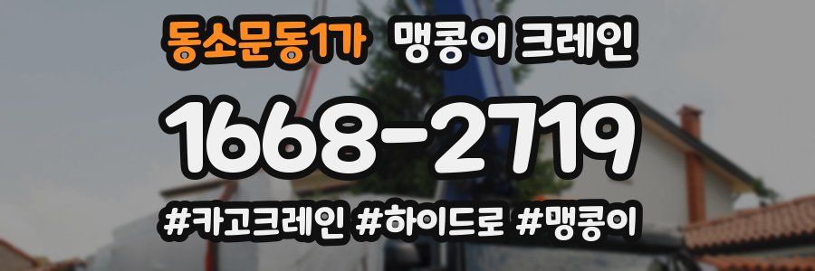 동소문동1가 맹콩이 크레인