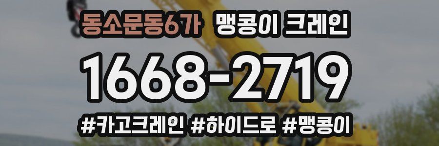 동소문동6가 맹콩이 크레인