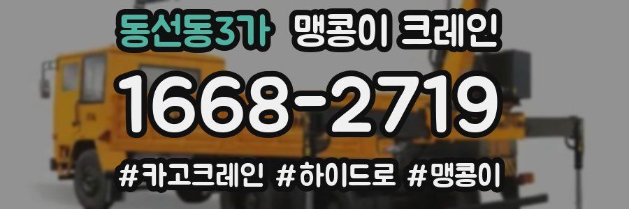동선동3가 맹콩이 크레인