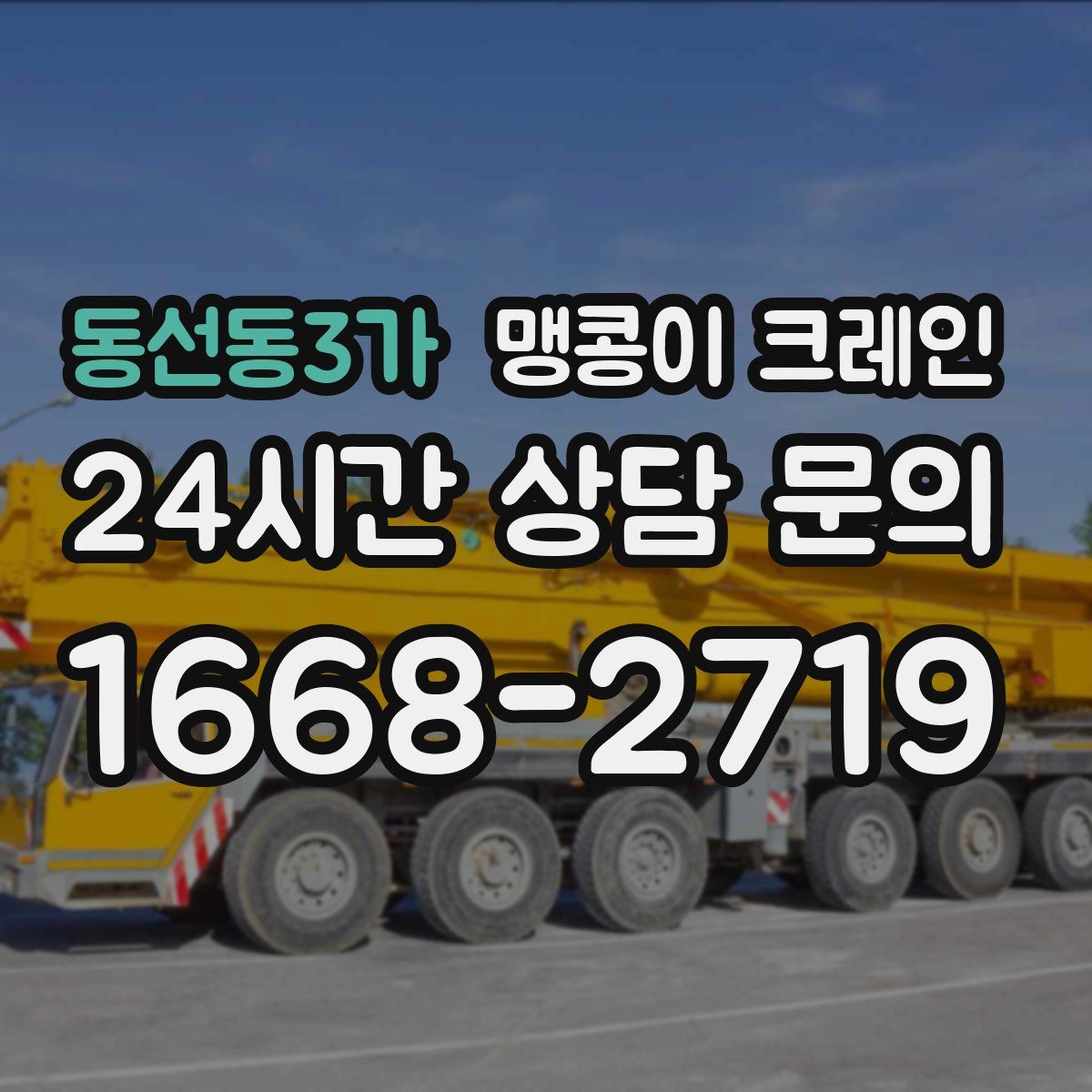 동선동3가 맹콩이 크레인
