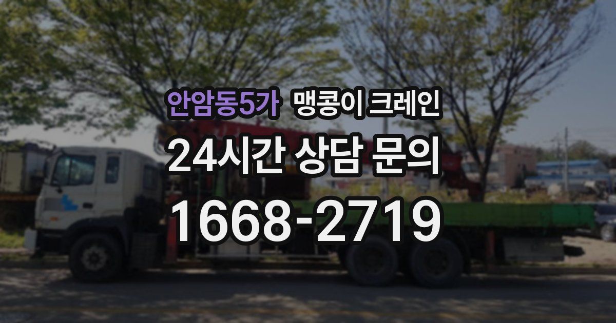 안암동5가 맹콩이 크레인