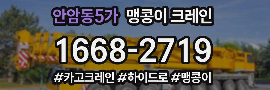 안암동5가 맹콩이 크레인