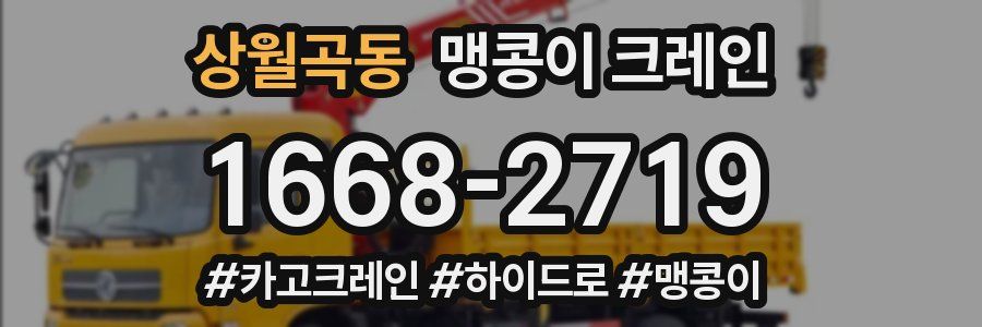 상월곡동 맹콩이 크레인