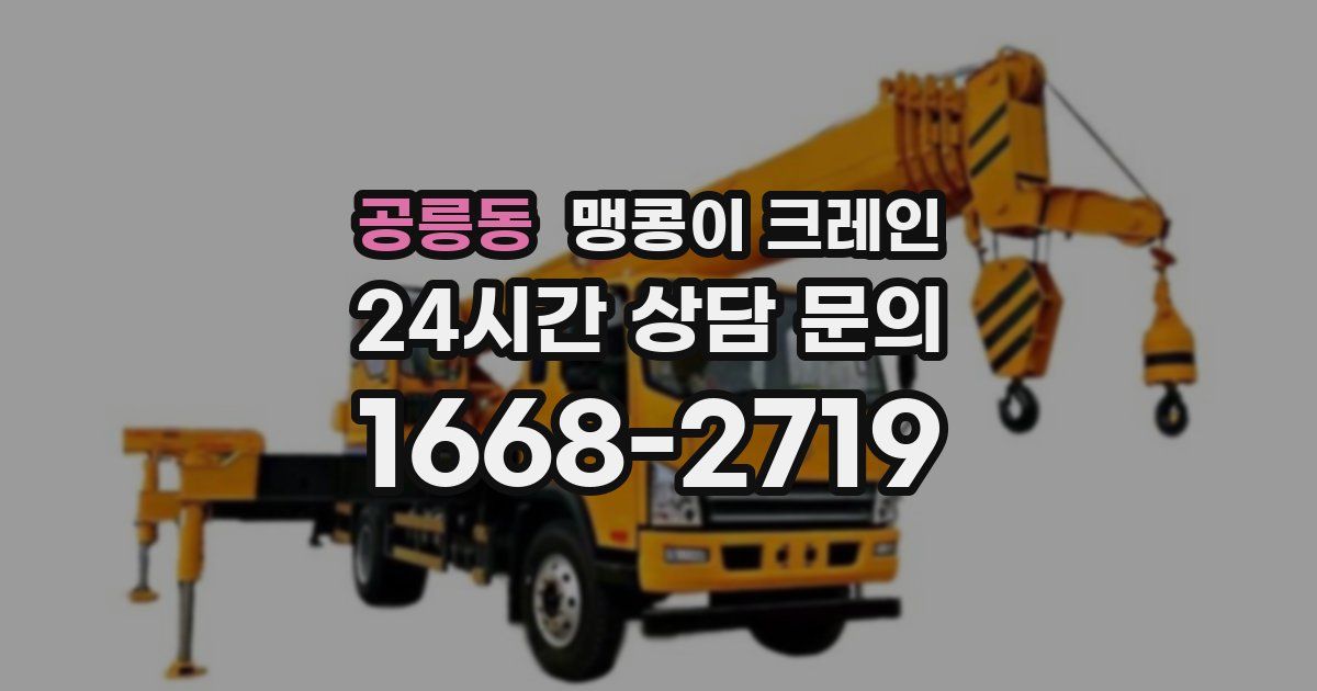 공릉동 맹콩이 크레인