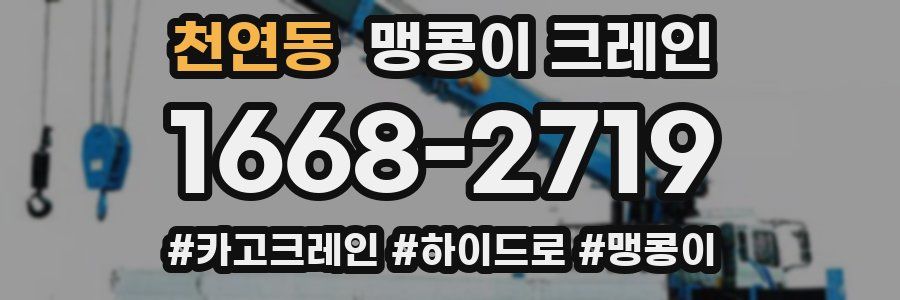 천연동 맹콩이 크레인