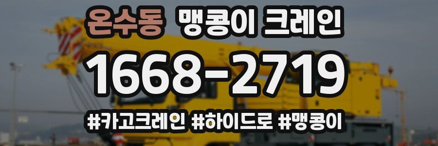 온수동 맹콩이 크레인