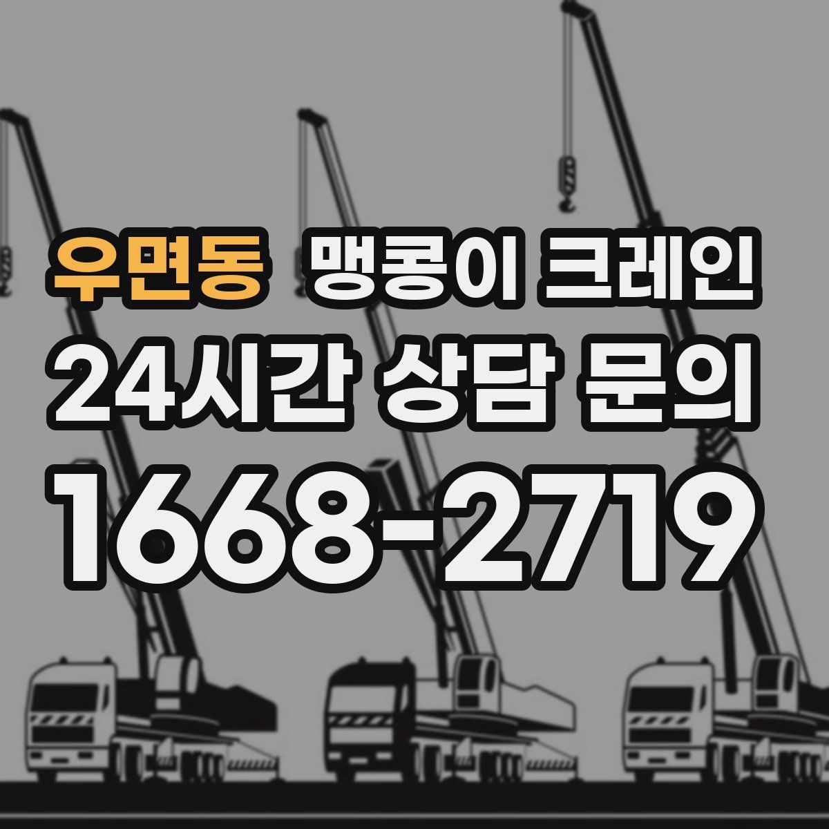 우면동 맹콩이 크레인