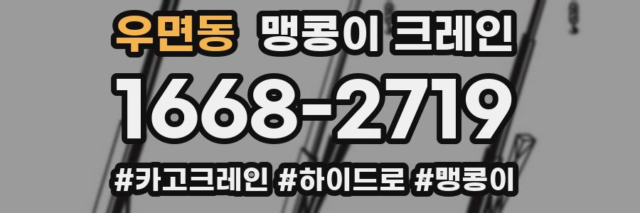 우면동 맹콩이 크레인