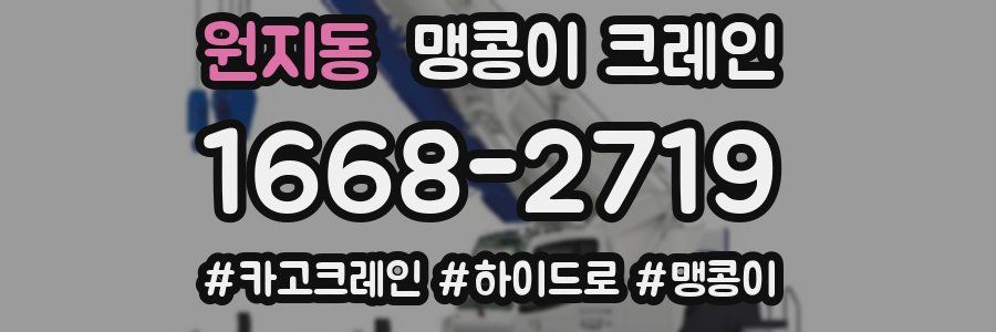 원지동 맹콩이 크레인
