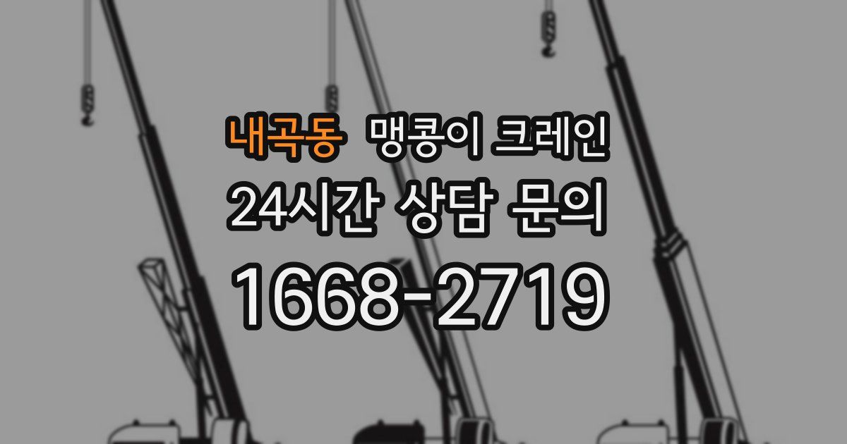 내곡동 맹콩이 크레인