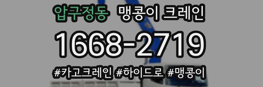압구정동 맹콩이 크레인