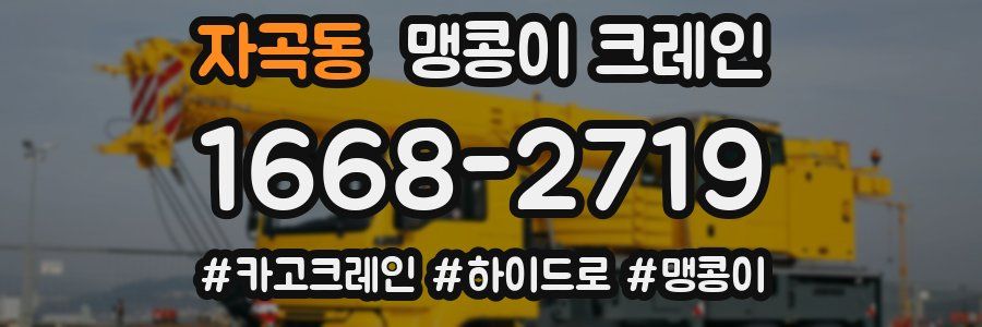 자곡동 맹콩이 크레인